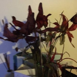 Meet your Posher, Marc